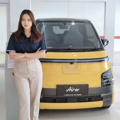 desti sales consultant wuling pluit jakarta